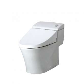 cau-1-khoi-inax-ac-1008vrn